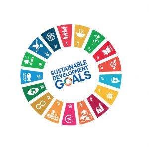 L'armoniosa visione politica del Paese sugli Sdg's